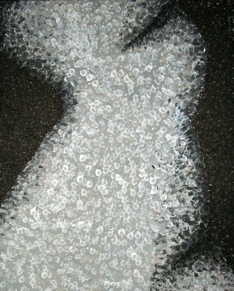 Torso