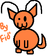 Orange Adoptable