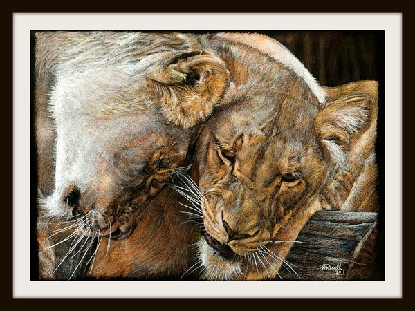 Affection