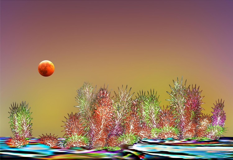 Cactuses in the Desert