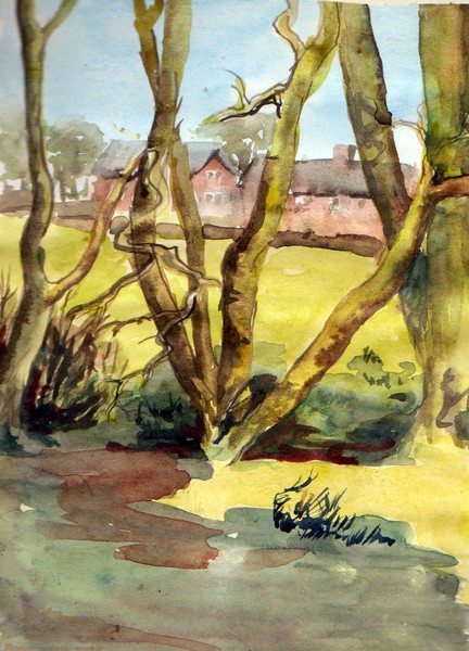 Water Meadows