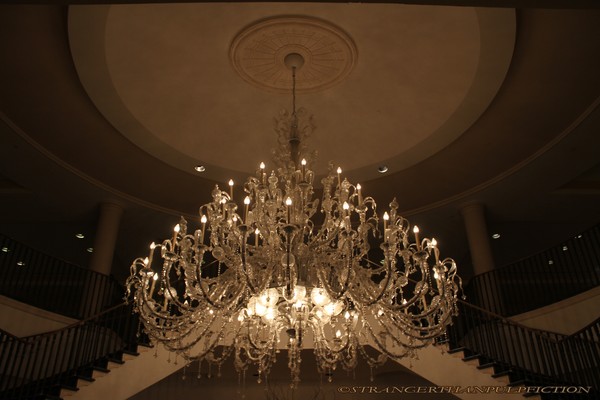 Illuminated Elegance
