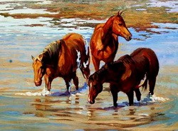 Horses running horses in drinking