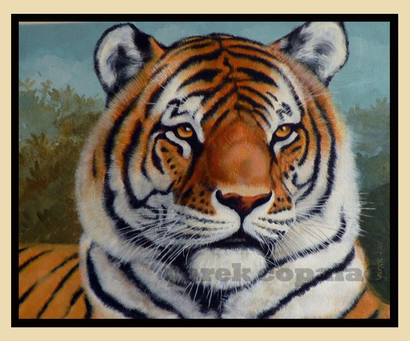 Syberian Tiger
