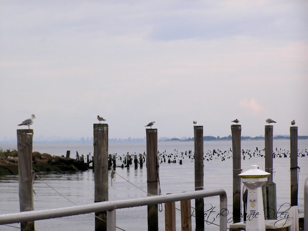 All in a Row