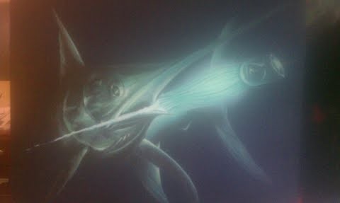 fishing