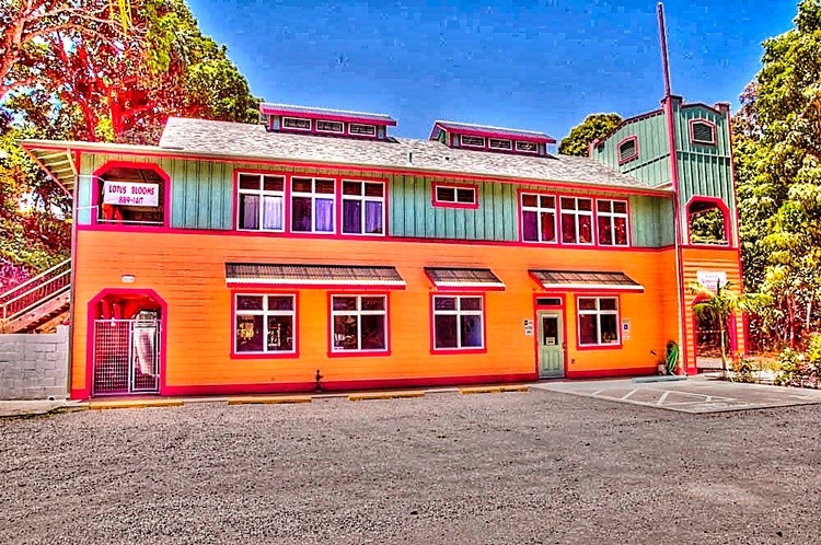 NEWHOUSEPAINTED