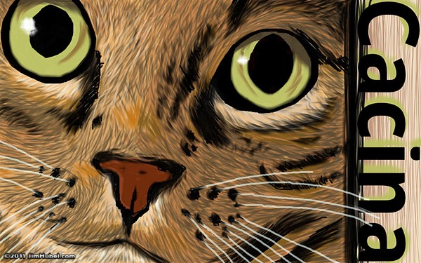 Cacina Closeup