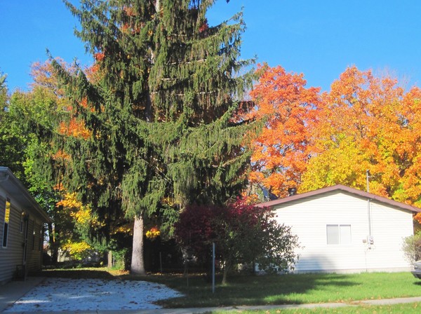 Blazing fall