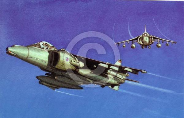 Royal Air FOrce
