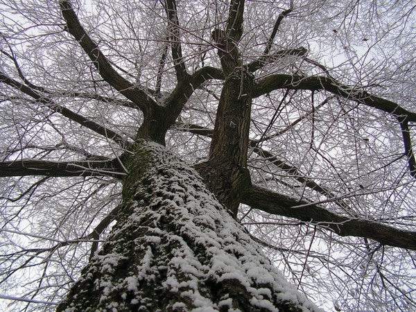 winter 06
