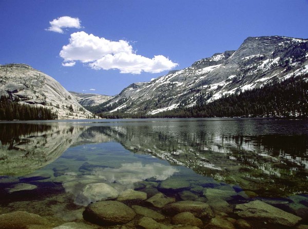 Tenaya Lake  Yosemite Natl Park