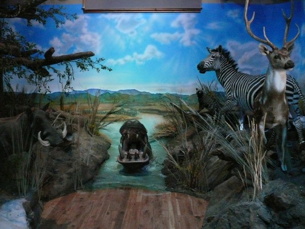 Trophy room,3 D art