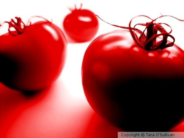 Tomatoes