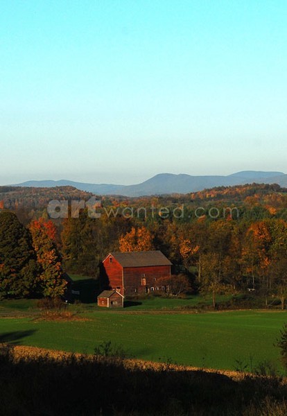 Red Barns V