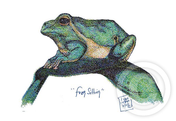 Frog Sitting (ACEO)