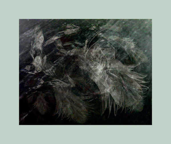 But there is a Dove in this storm of passion... 