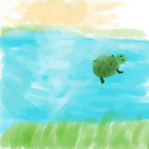 Turtle Sunrise
