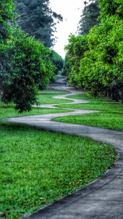 A good place for walks