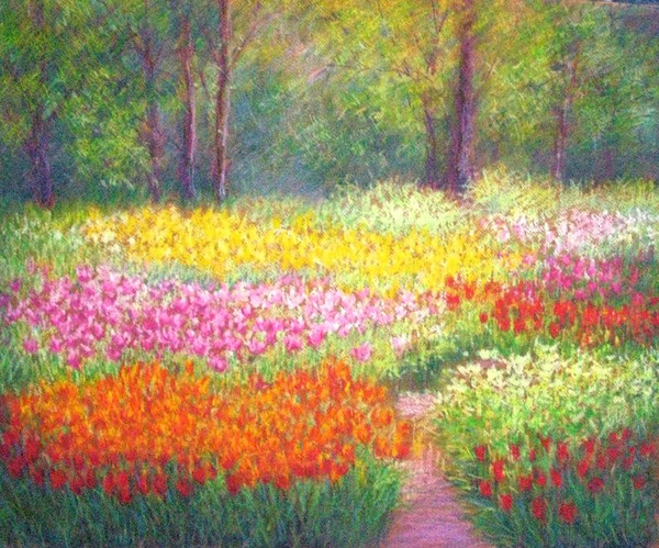 Red andyellow tulips