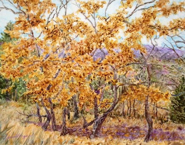 Fall in Greenwood, AR 