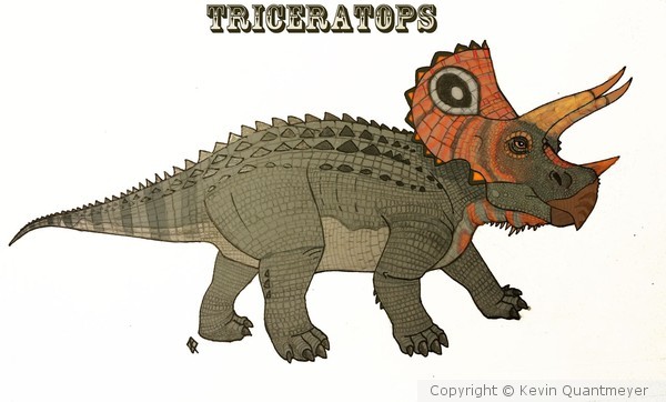 Triceratops