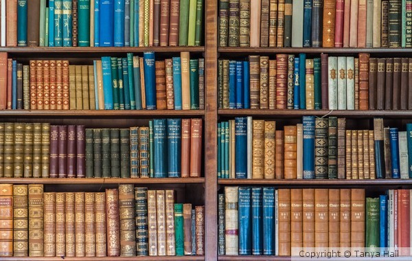 Antique Regency Bookcase 