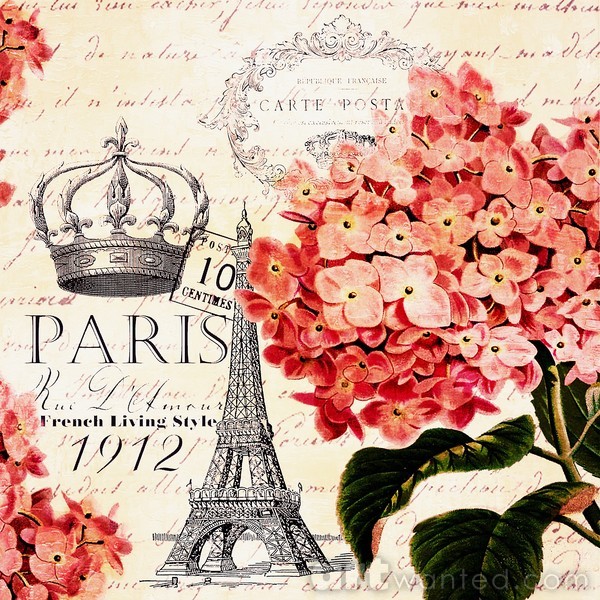 paris pink