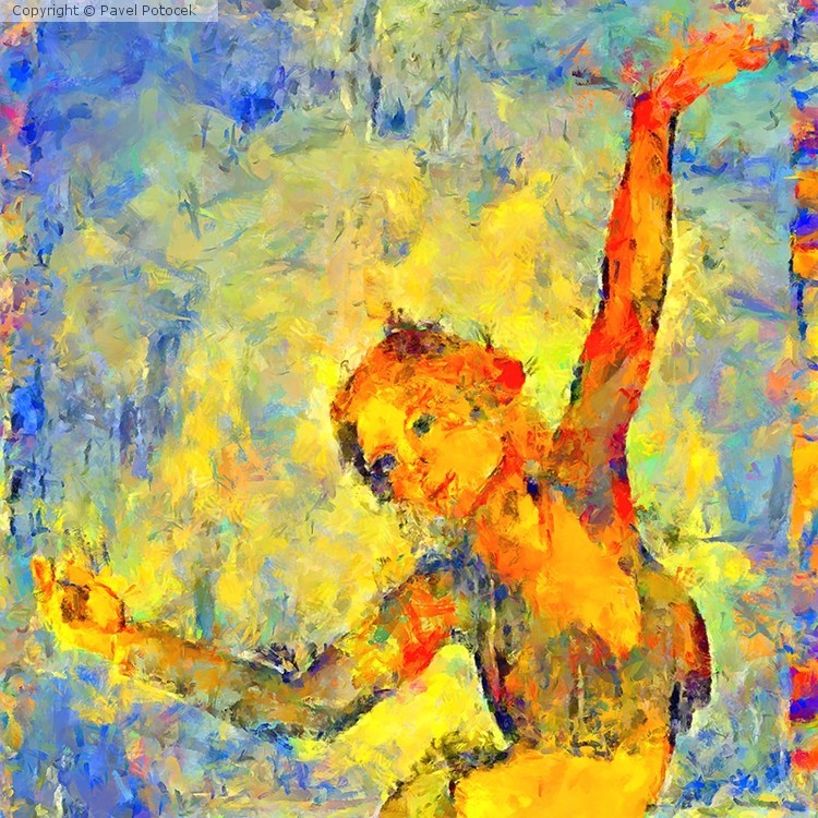Ballet lessons XII