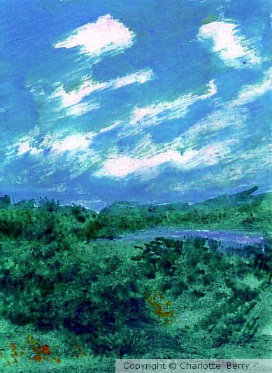 Meadowscape