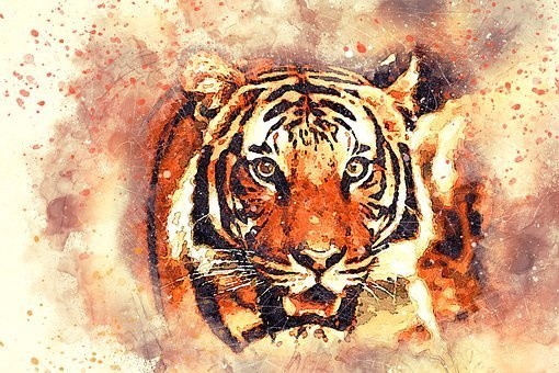 tshirtdesigns (1)