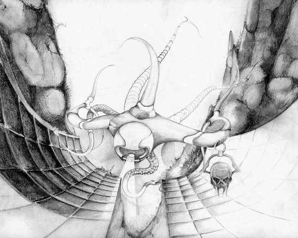 Drawing 24