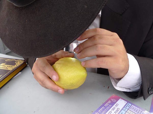 Careful Check-2