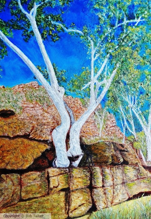 Trephina Gorge NT