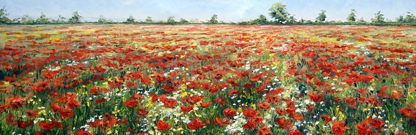 Poppies1