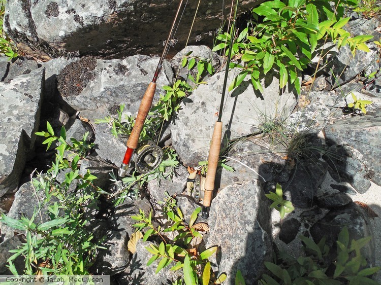 fly poles