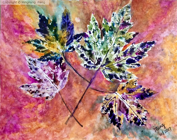 Fall leaves 