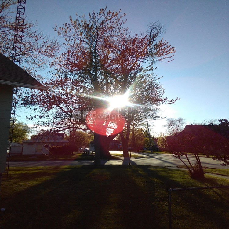 Late Afternoon Photography Cheyene Montana Lopez