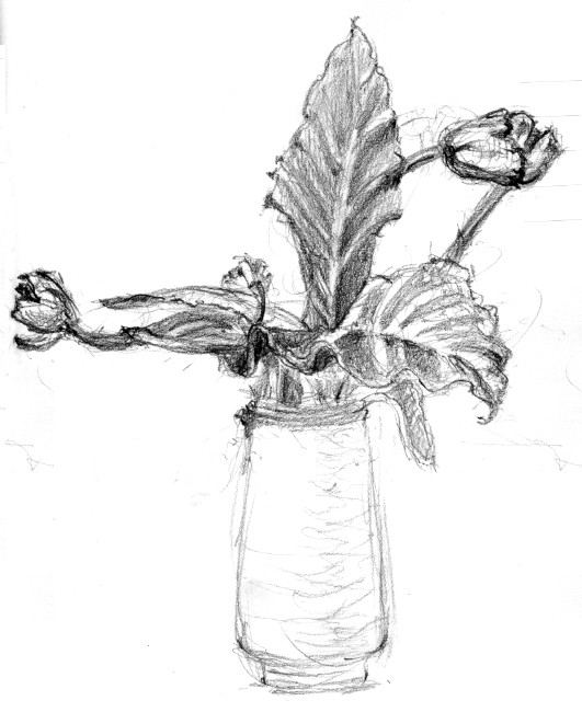 Tulips in Pitcher Sketch