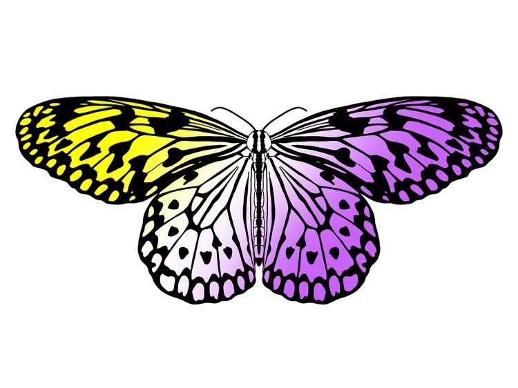 LGBTQIA+ Butterflies: Non-Binary