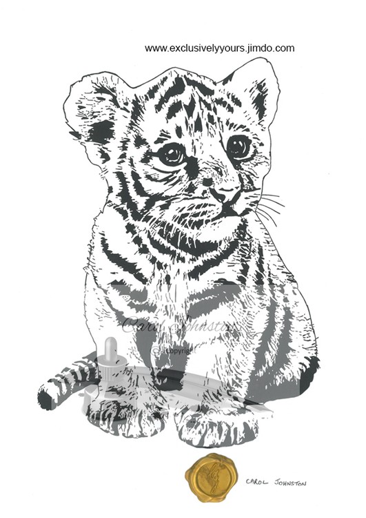 CJ Tiger cub