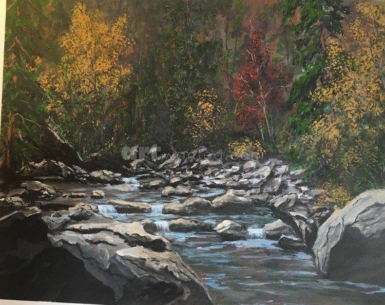 Up the creek 