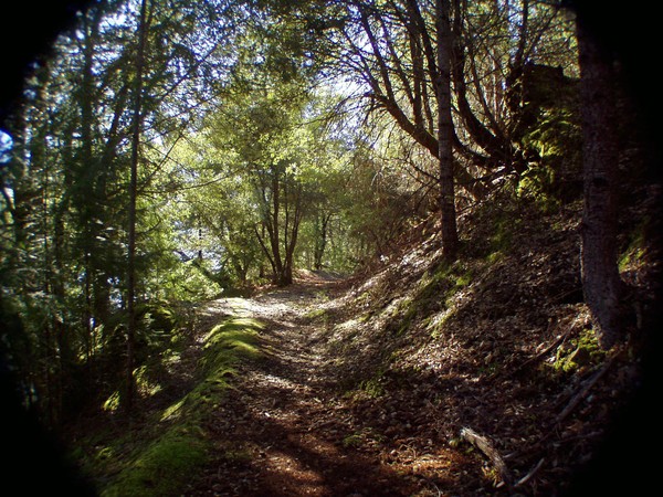 A Worn Path