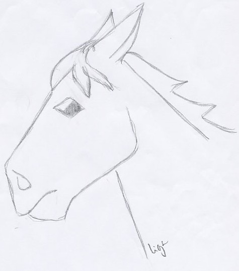 Horse