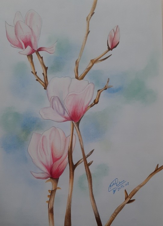 Blossom