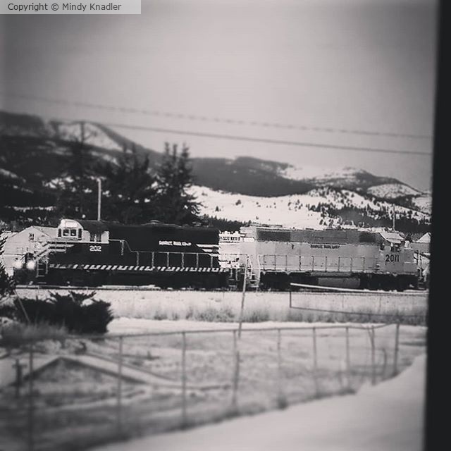 train