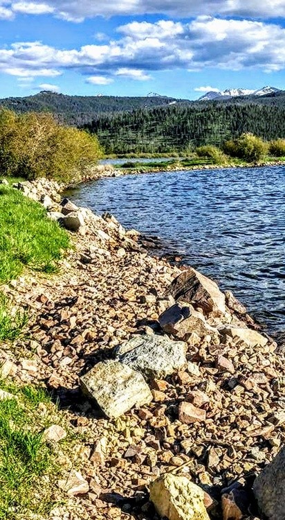 Lake Shore line