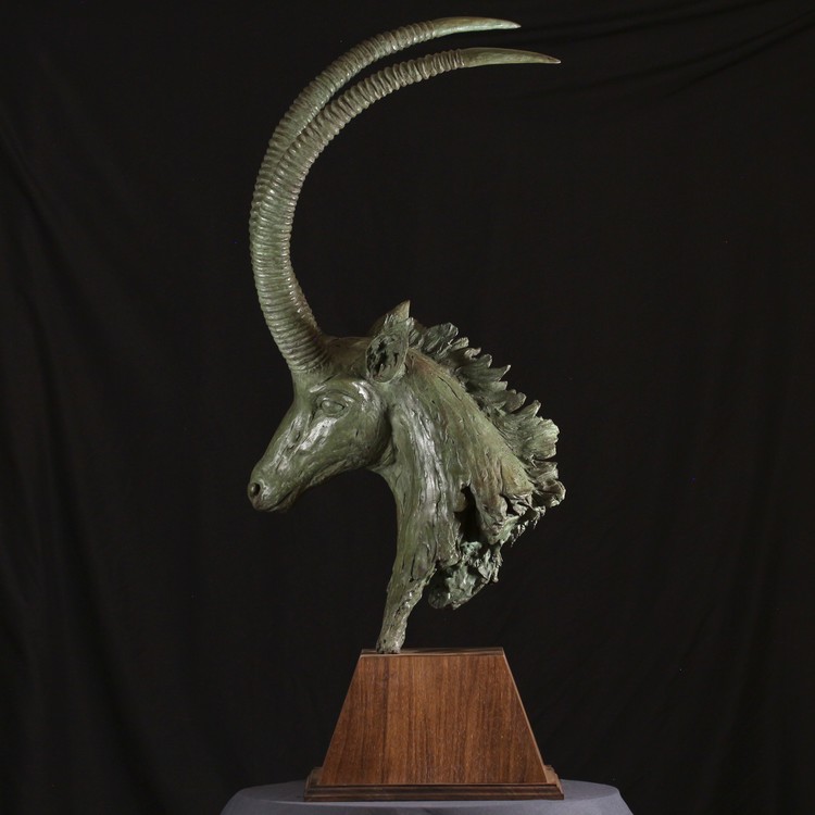 SABLE ANTELOPE BUST