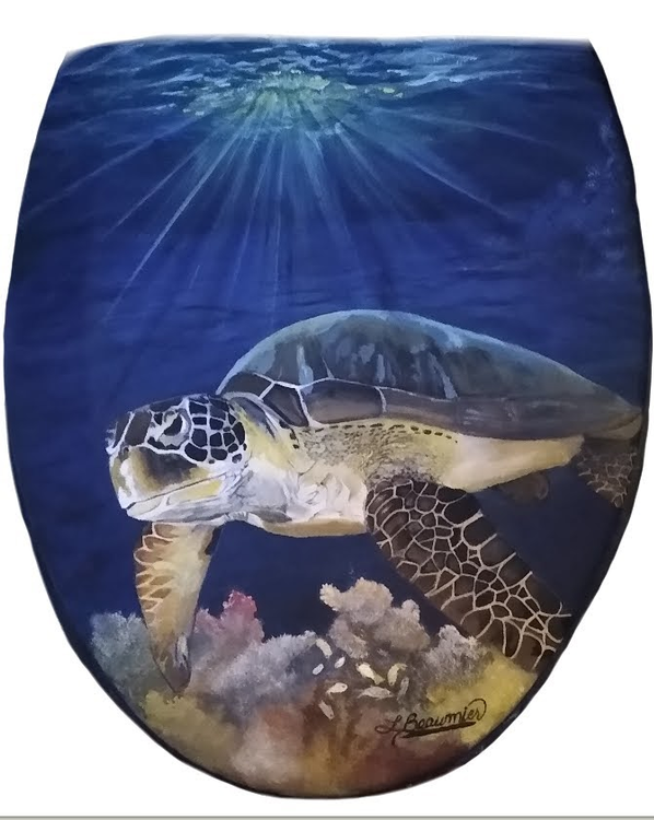 Sea turtle