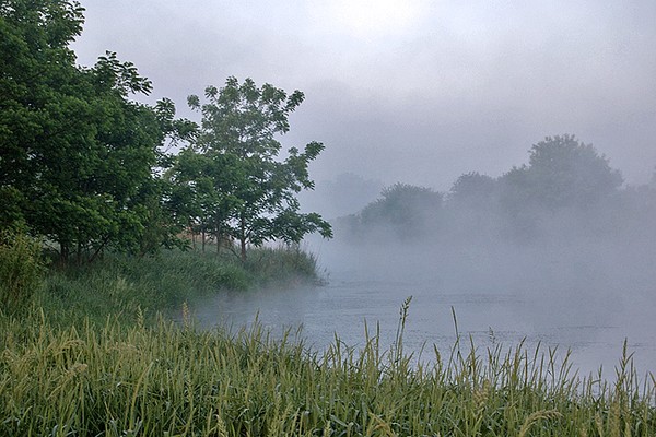 The Pond
